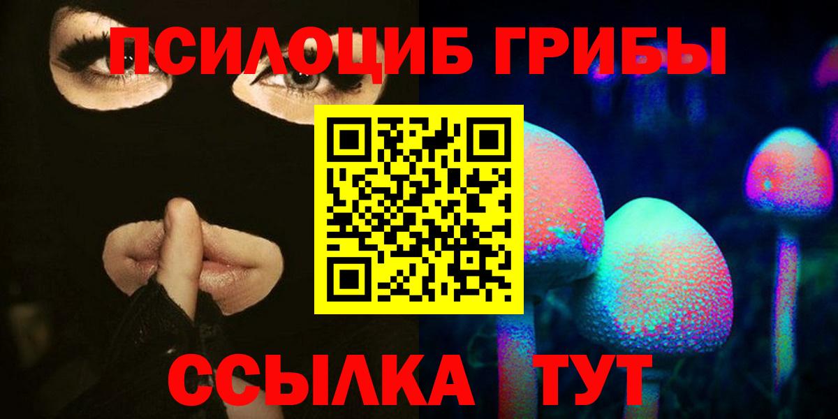 Галлюциногенные грибы прущие грибы  Вход с VPN  Дюртюли 